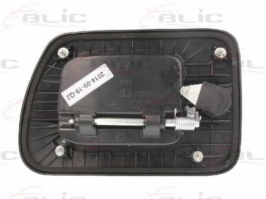 Doors Iveco: 601030004402P Blic Handle-assist