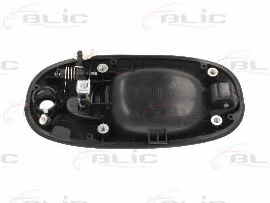 Handle-assist Blic 6010-53-012401P