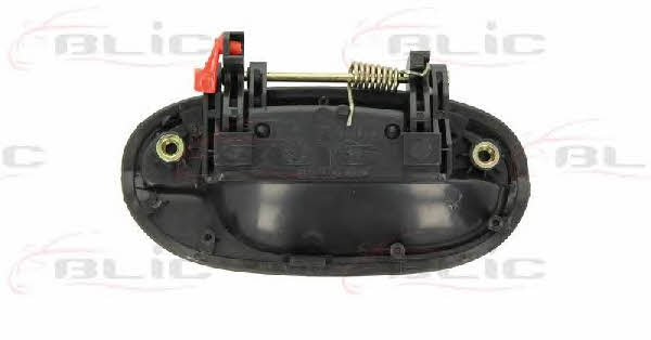 Handle-assist Blic 6010-56-007403P