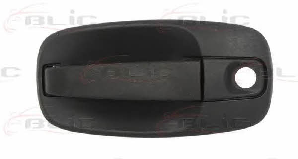 Handle-assist Blic 6010-09-041401P