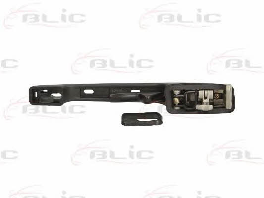 Handle-assist Blic 6010-25-006404P