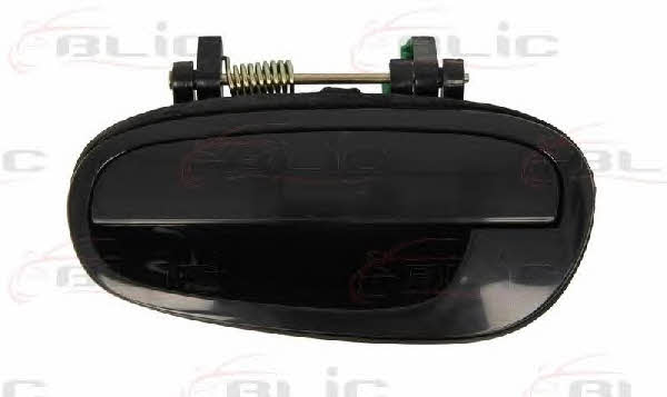 Handle-assist Blic 6010-56-002403P
