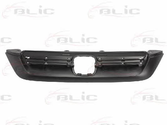 Grille radiator Blic 6502-07-2957990P