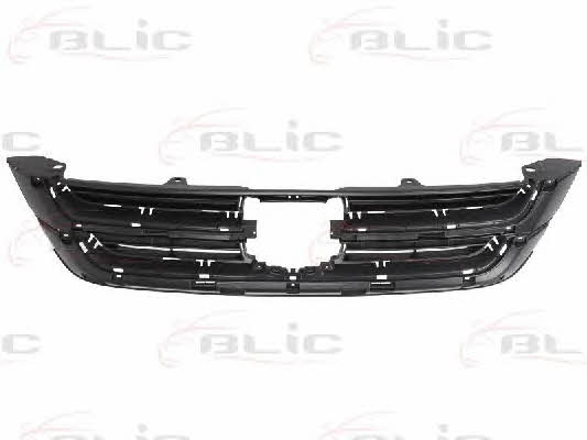 Grille radiator Blic 6502-07-2957992P