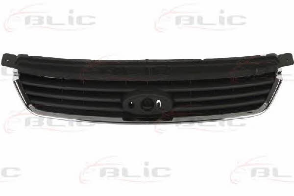 Grille radiator Blic 6502-07-2578990P