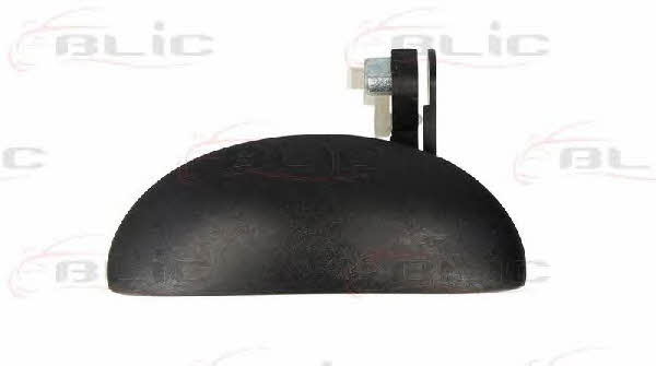 Handle-assist Blic 6010-19-055401P