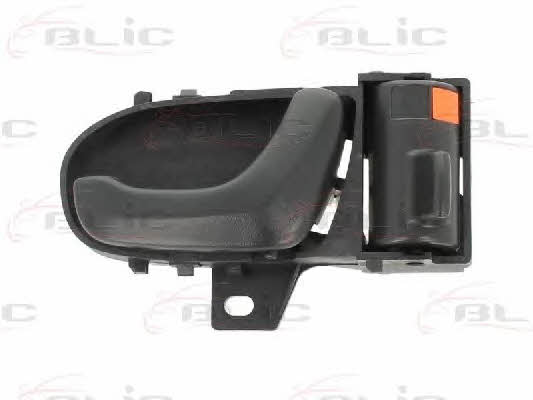 Handle-assist Blic 6010-18-001408P