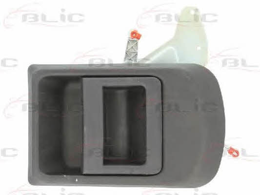 Handle-assist Blic 6010-30-002410P