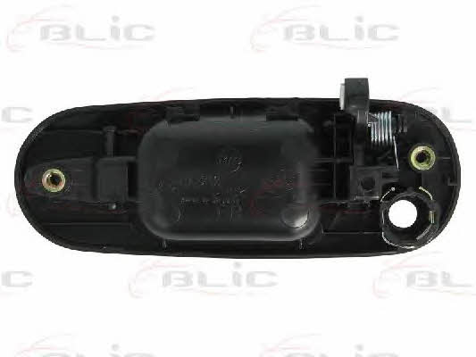 Handle-assist Blic 6010-12-028402P