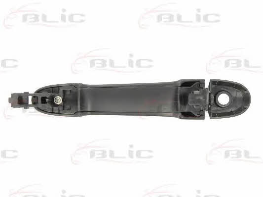 Handle-assist Blic 6010-16-059401P