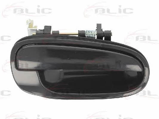 Handle-assist Blic 6010-20-023404P
