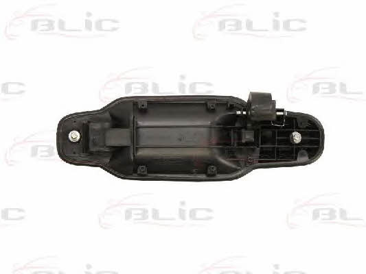 Handle-assist Blic 6010-53-019404P