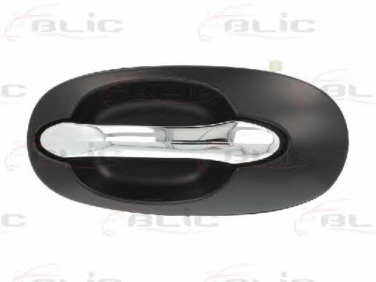 Handle-assist Blic 6010-53-012403P