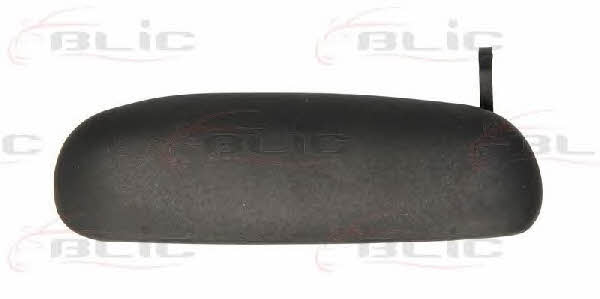 Handle-assist Blic 6010-03-017401P
