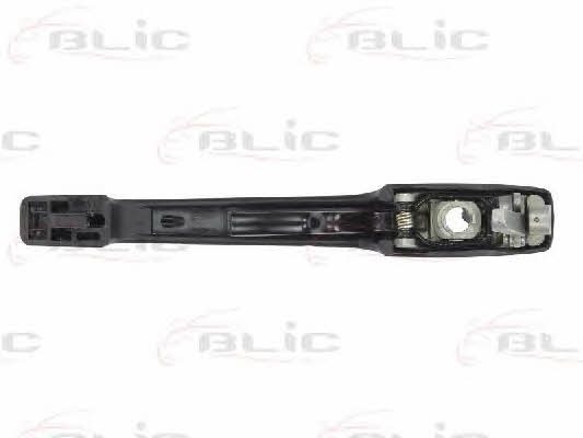 Handle-assist Blic 6010-01-011402P