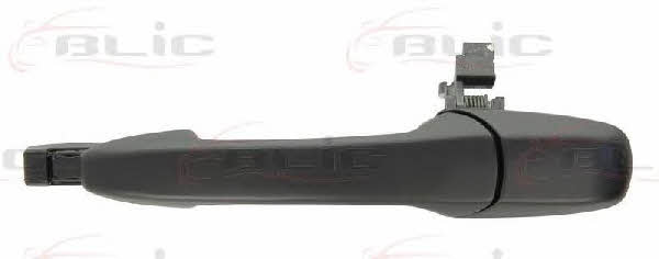 Handle-assist Blic 6010-14-037403P
