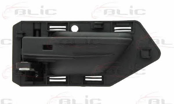 Handle-assist Blic 6010-21-015408P