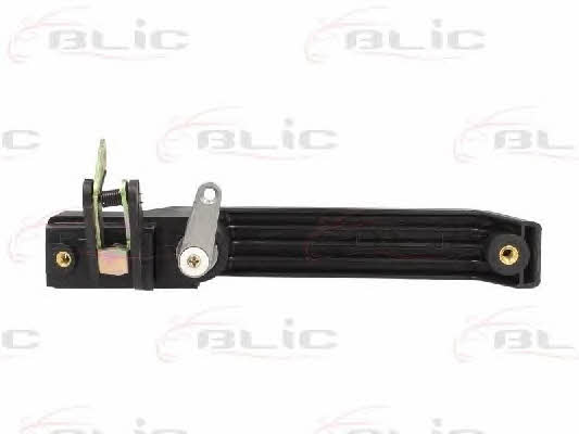 Handle-assist Blic 6010-57-005401P