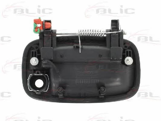 Handle-assist Blic 6010-53-002401P