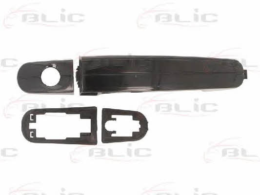 Handle-assist Blic 6010-03-039401P