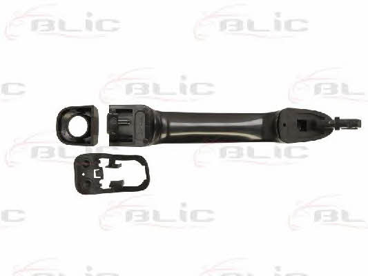 Handle-assist Blic 6010-07-040401P