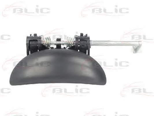 Handle-assist Blic 6010-08-015401P