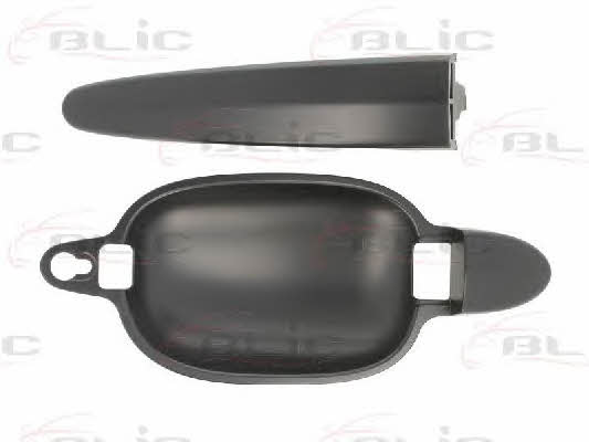 Handle-assist Blic 6010-05-017402P
