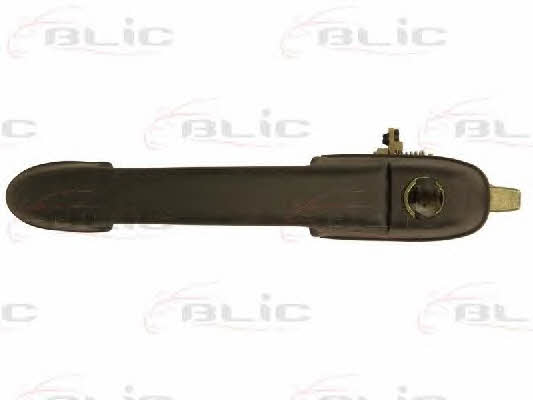 Handle-assist Blic 6010-07-017401P