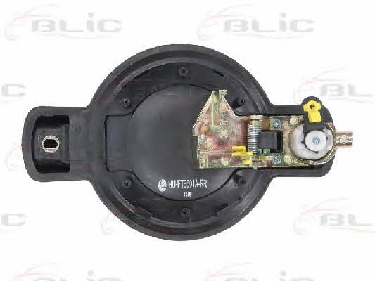 Handle-assist Blic 6010-07-029410P