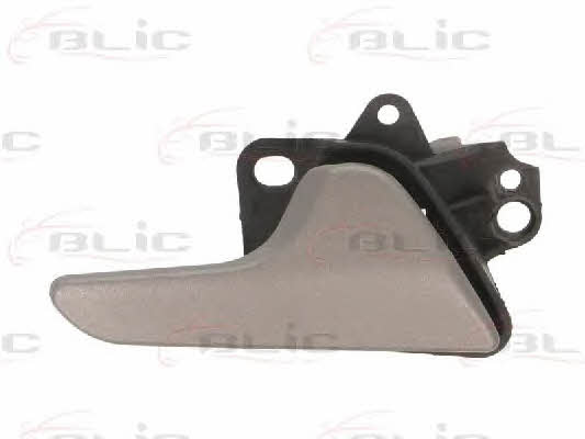 Handle-assist Blic 6010-02-065408P
