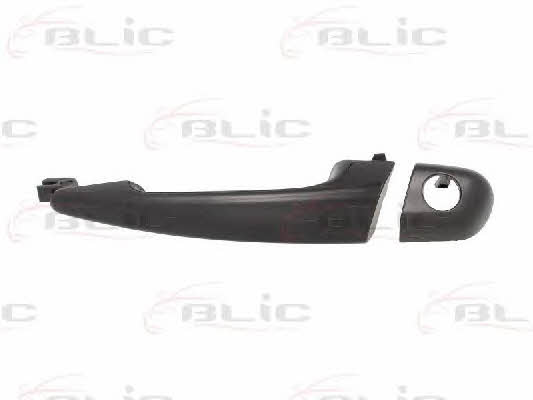 Handle-assist Blic 6010-05-013401P