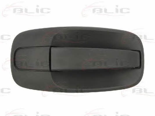 Handle-assist Blic 6010-09-041402P