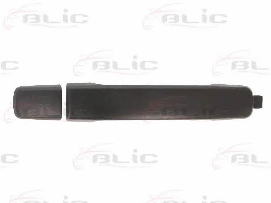 Handle-assist Blic 6010-16-038402P