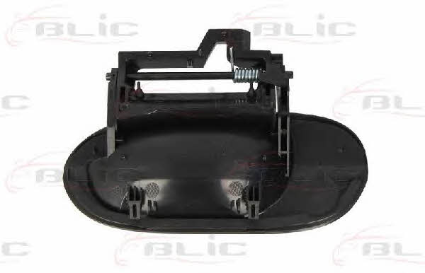 Handle-assist Blic 6010-05-011402P