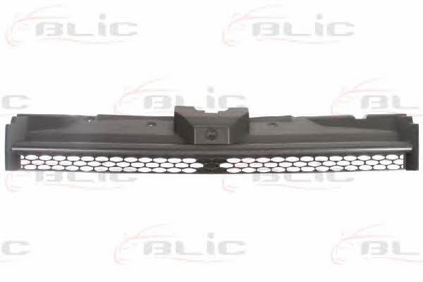 Grille radiator Blic 6502-07-2507990P