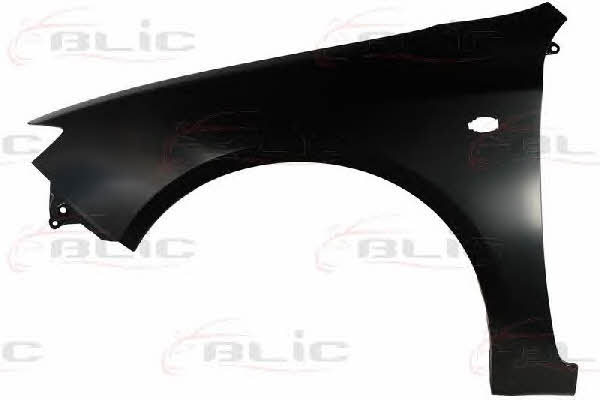 Blic 6504-04-6734313P Front fender left 6504046734313P 6504046734313P Blic Front fender left