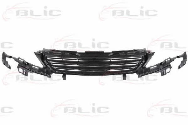 Blic 6502-07-5519992P Grille radiator 6502075519992P