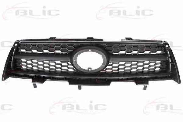Grille radiator Blic 6502-07-8179992P
