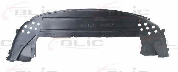 Engine cover Blic 6601-02-5541880P