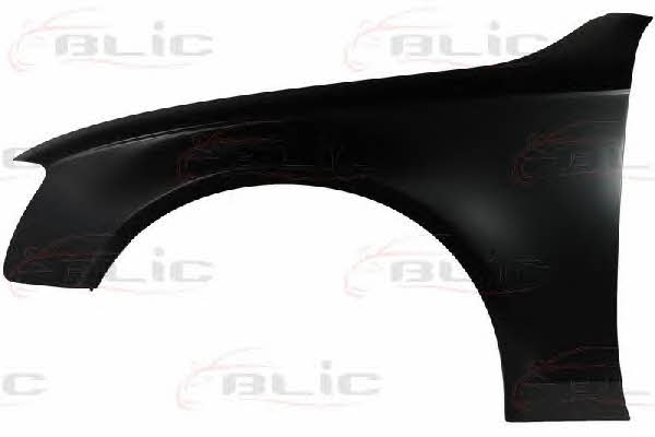 Front fender left Blic 6504-04-0029313P