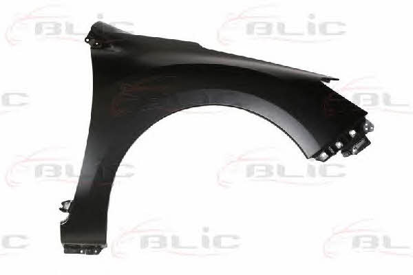 Front fender right Blic 6504-04-6735312P