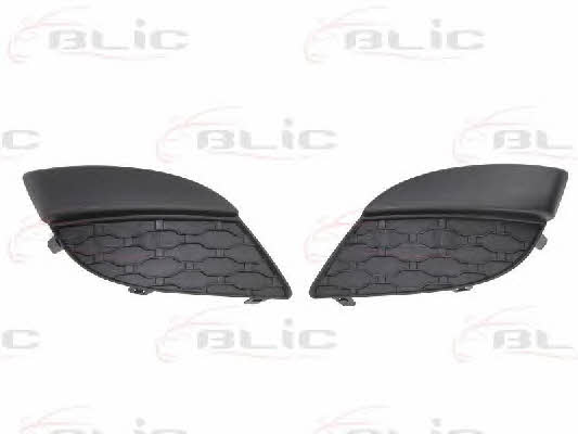 Bumper mesh Renault Twingo: 6502076006915P Blic Front bumper grill