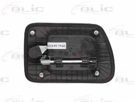 Handle-assist Blic 6010-30-004401P