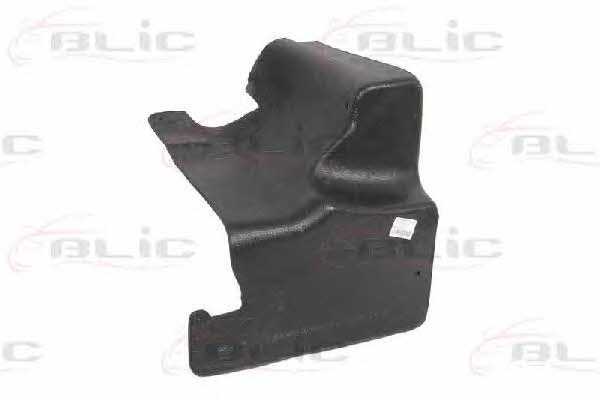 Engine cover Blic 6601-02-5023890P