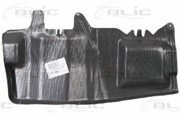 Blic 6601-02-9008873P Engine cover 6601029008873P