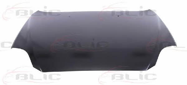 Hood Blic 6803-00-3276281P