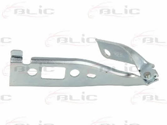 Hood hinge Blic 6802-00-2564453P