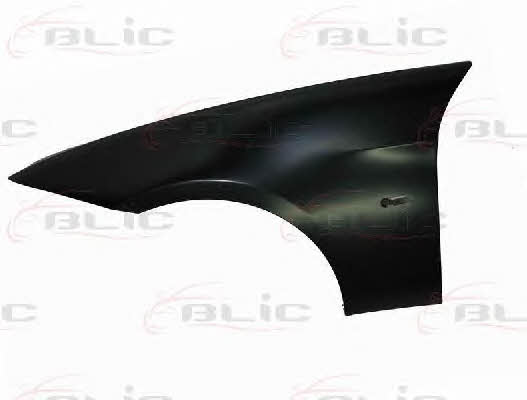 Front fender left Blic 6504-04-0062311Q