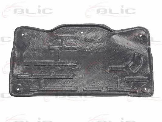 Engine cover Blic 6601-02-3541862P