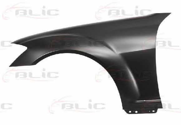 Front fender left Blic 6504-04-3514311P